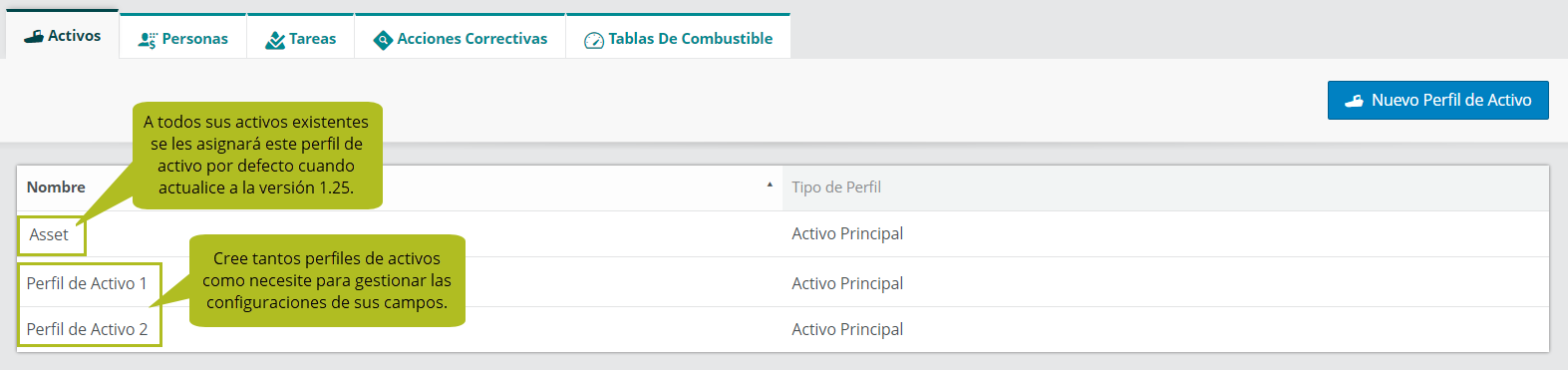 SetupFieldConfigsAssets_AssetProfiles_1.25_ES.png