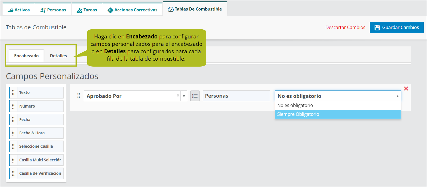 SetupFieldConfig_FuelTables_CustomFields_1.25_ES.png
