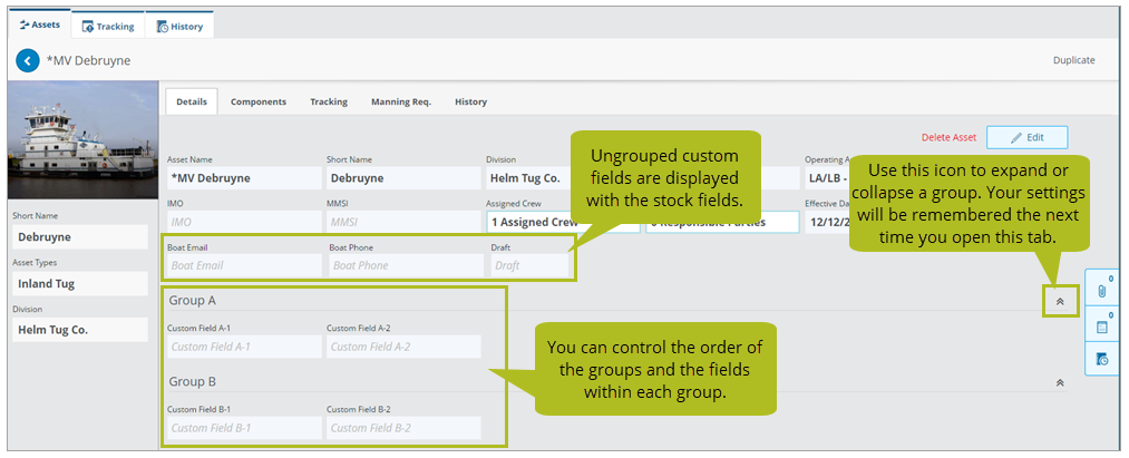 An asset's Details tab showing custom fields organized into groups.